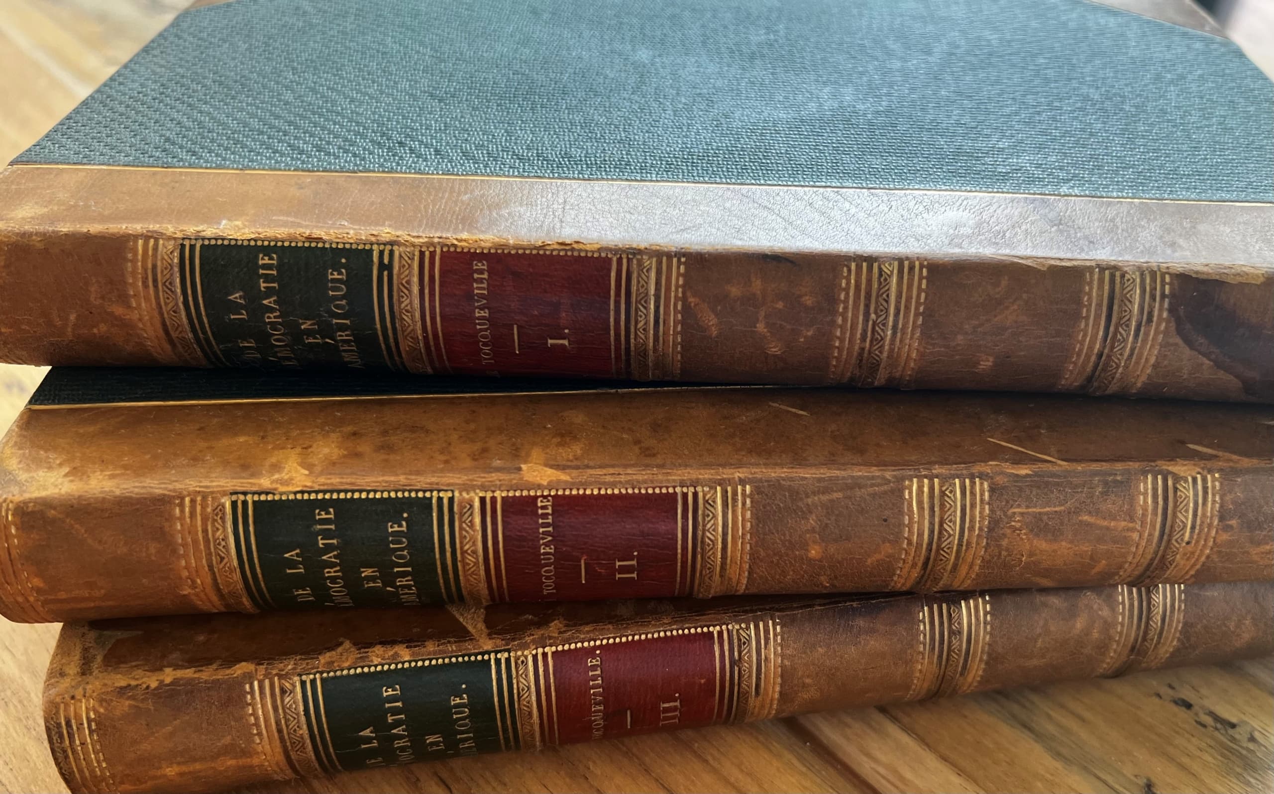 Zomerreeks 9 Alexis de Tocqueville, Over